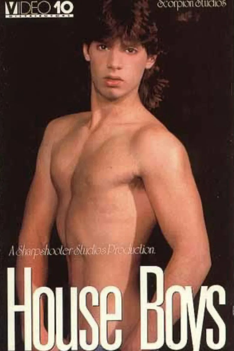 House Boys poster background