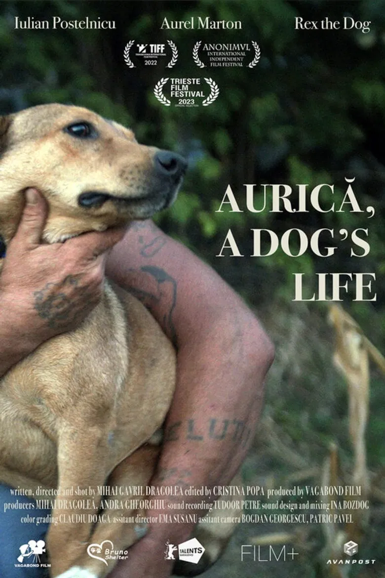 Aurica, a Dog's Life poster background