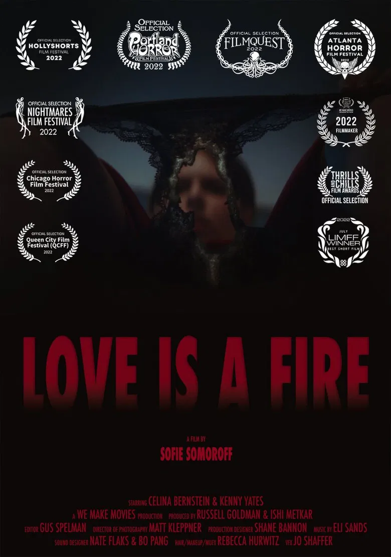 Love is a Fire poster background