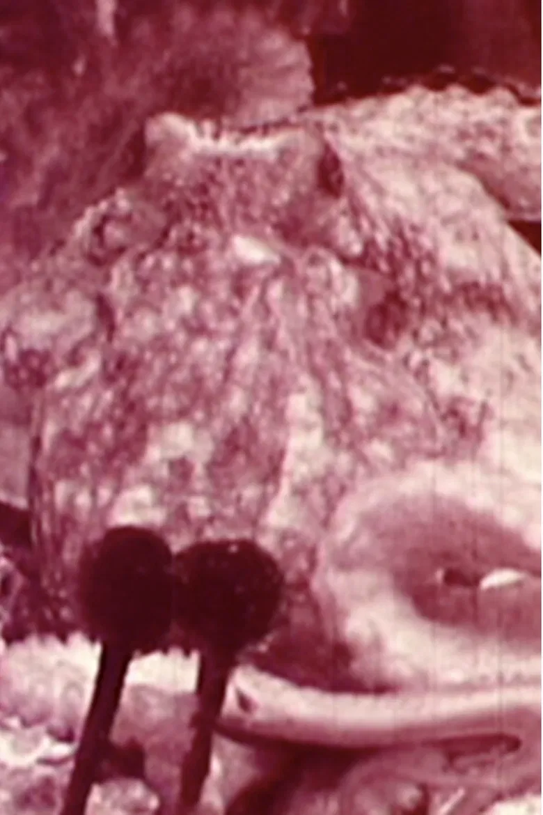 Aurora Borealis poster background