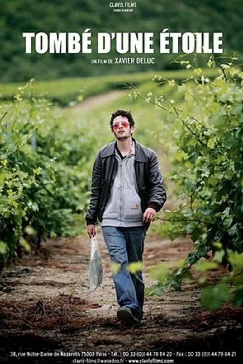 Tombé d'une étoile poster background