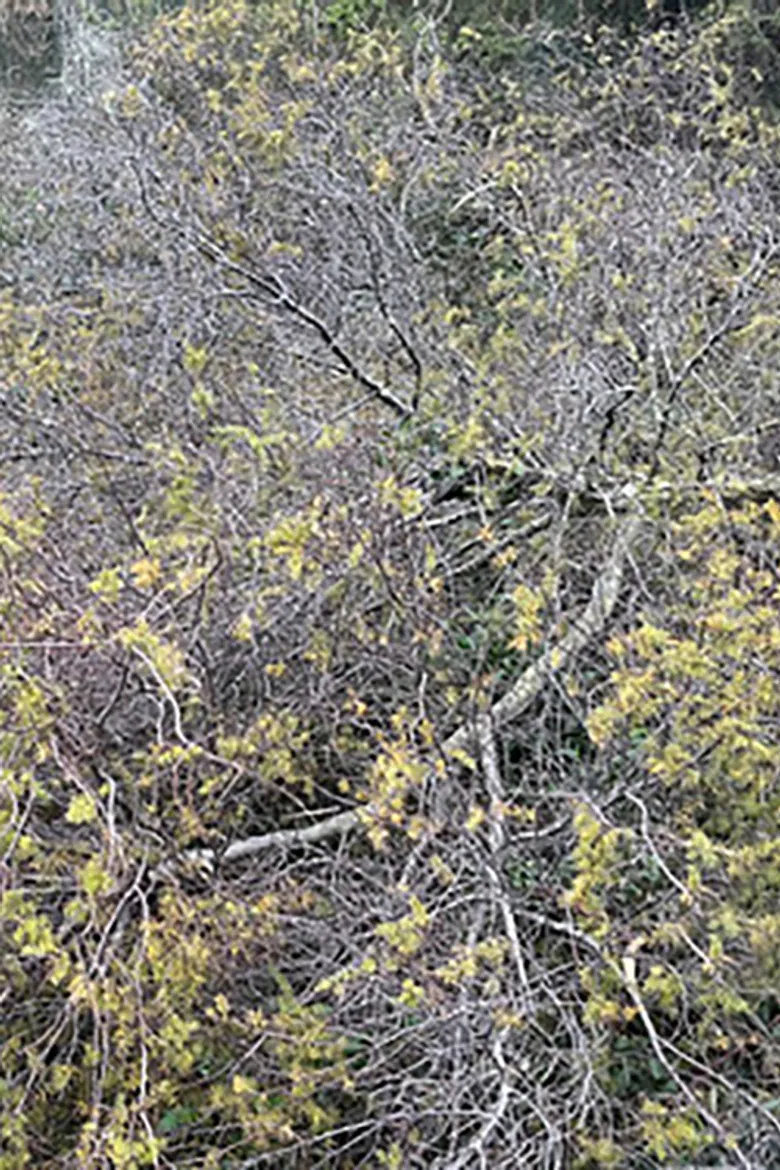 Place d'or poster background