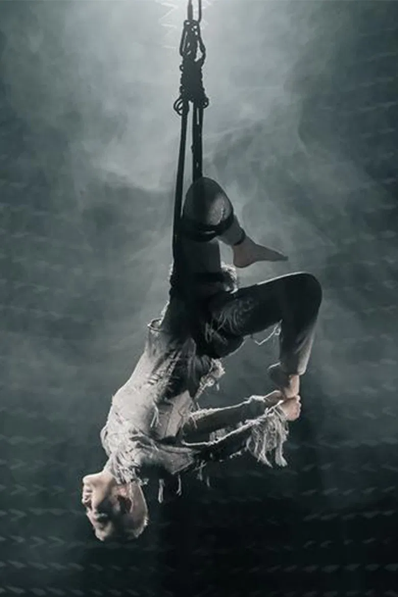 The Magnificent Levitation Act of Lauren O poster background