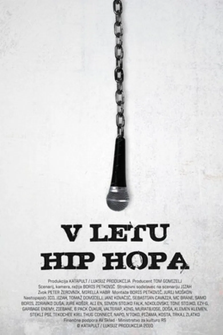 In the Year of Hip Hop poster background