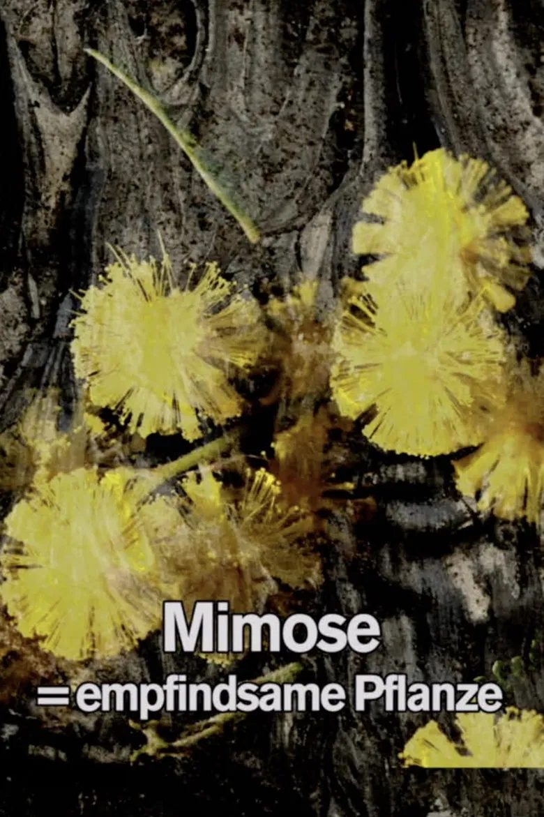 Mimosa Tank: A Prologue for a Film poster background