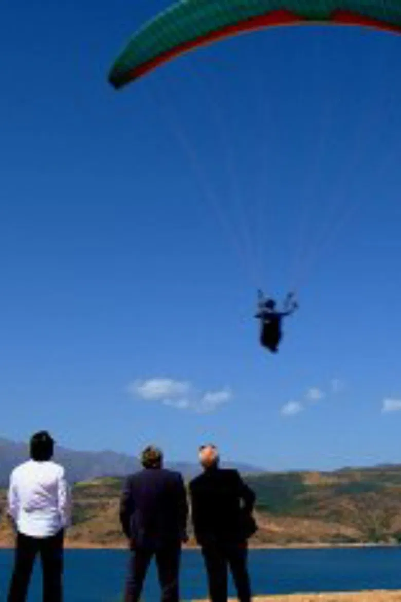 Shurochka poster background