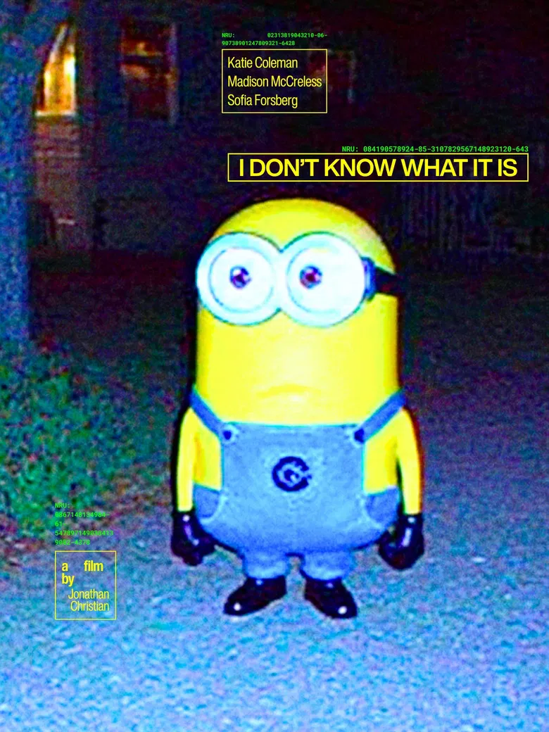 I Don't Know What It Is poster background