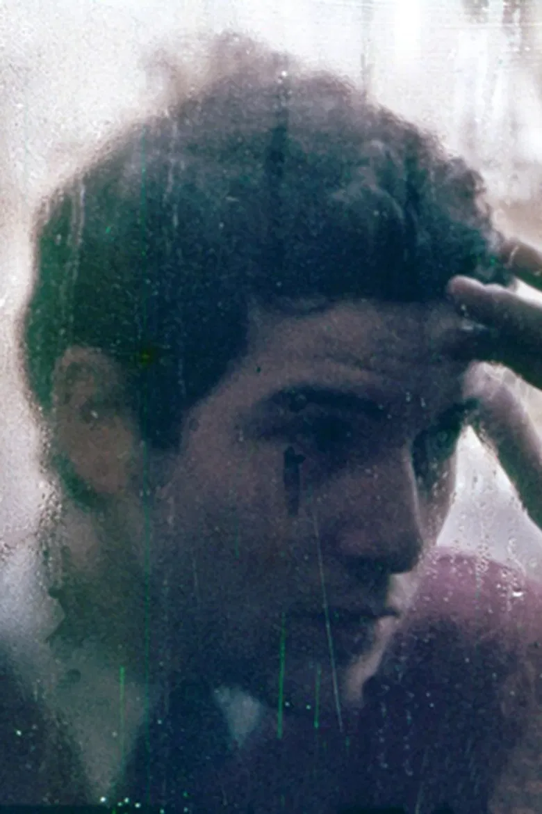 Le Jardin des Tuileries poster background