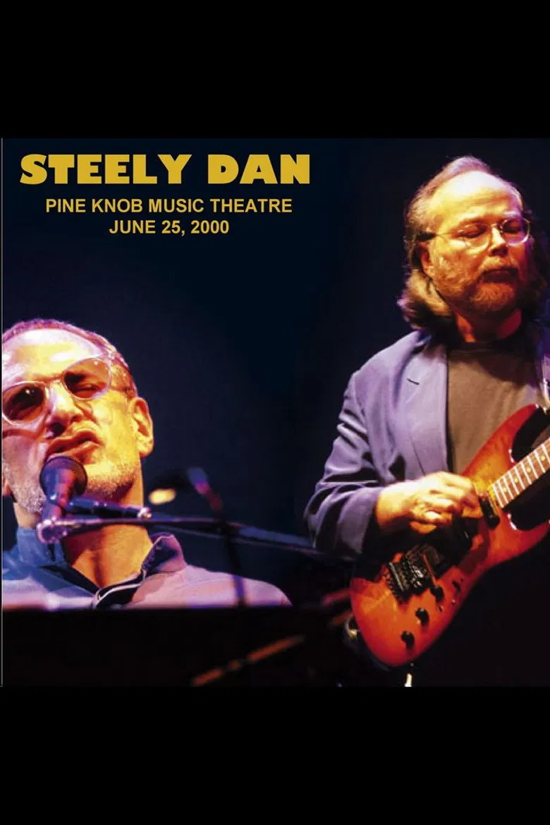 Steely Dan: Live at Pine Knob Theatre poster background