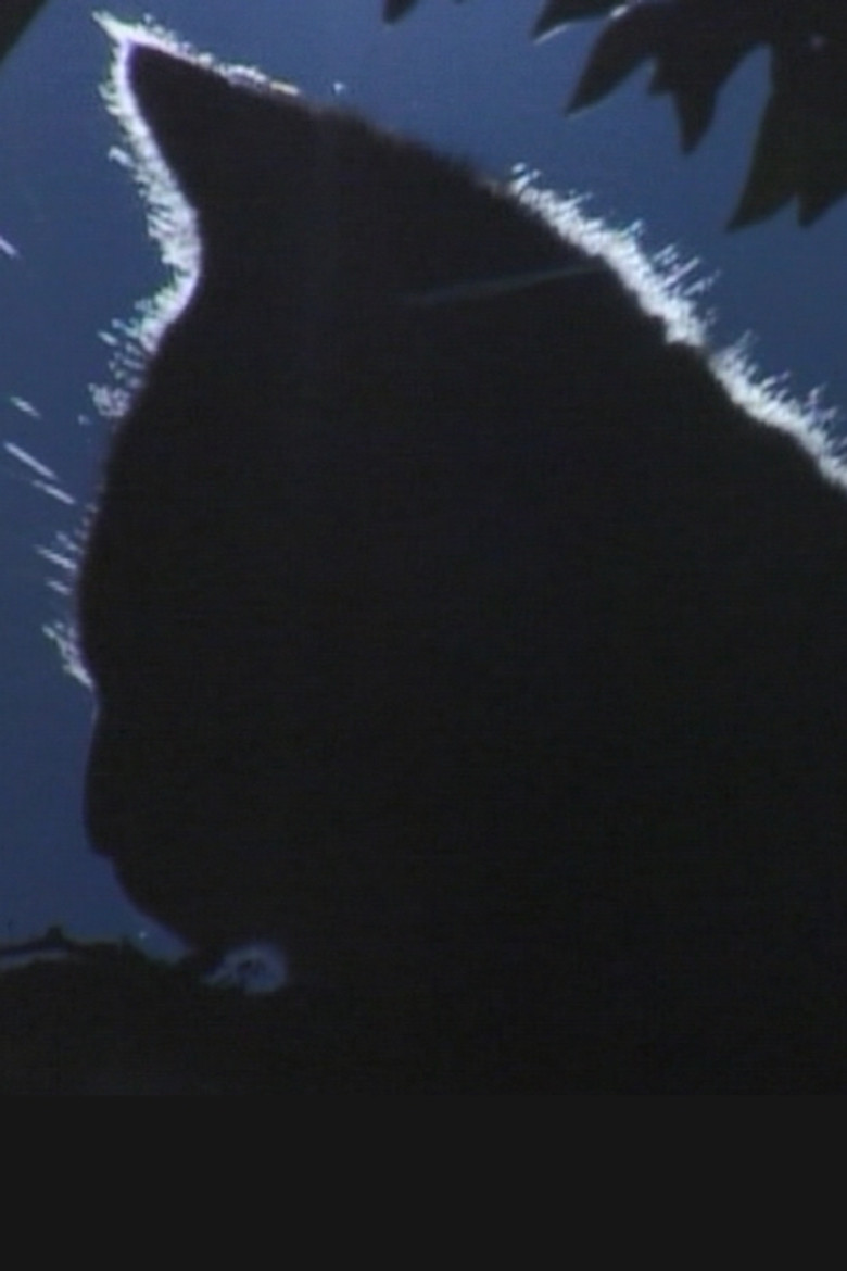 GLASSHALL poster background