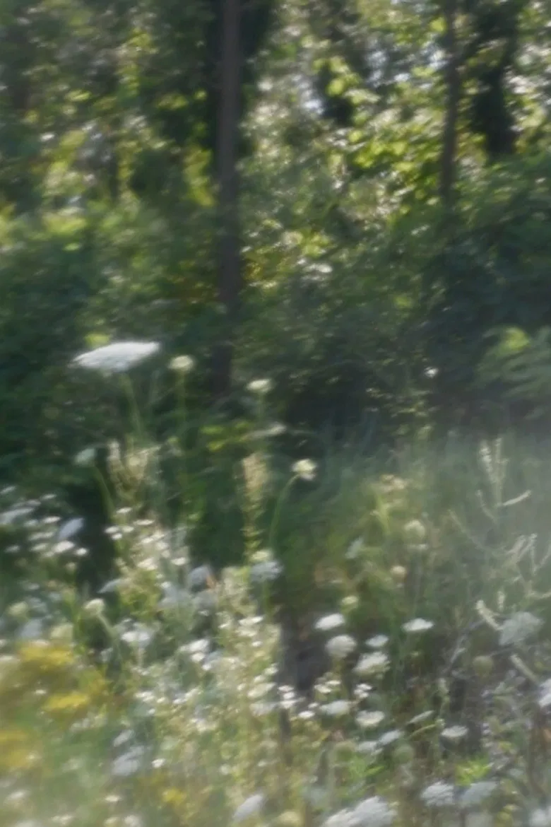 un pianto poster background