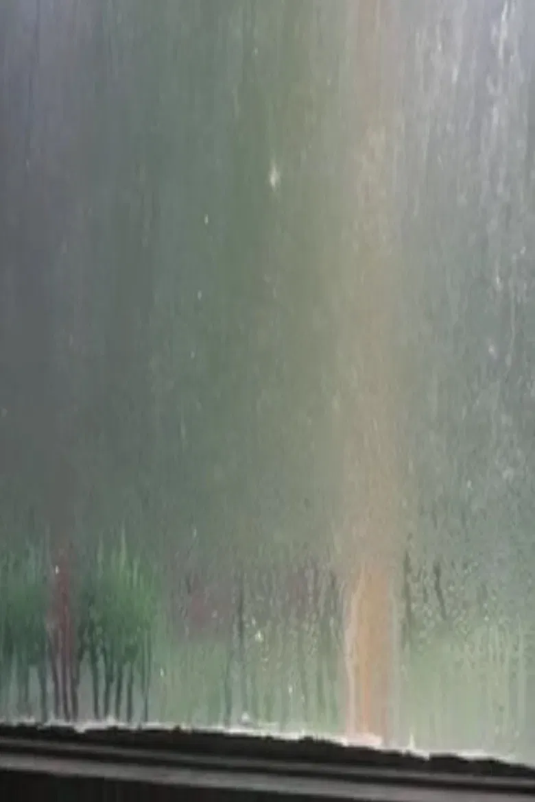 Fogged Windows poster background