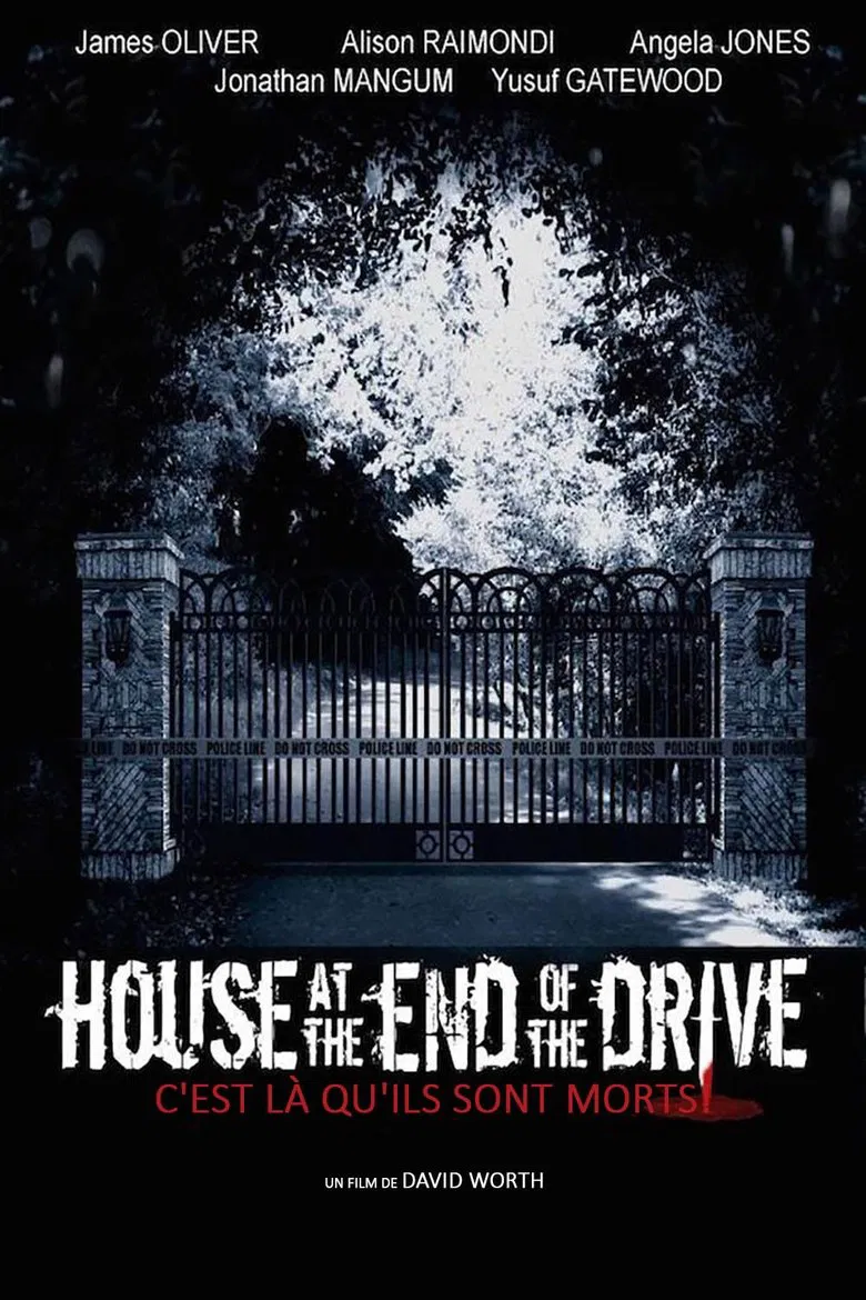 House at the End of the Drive poster background