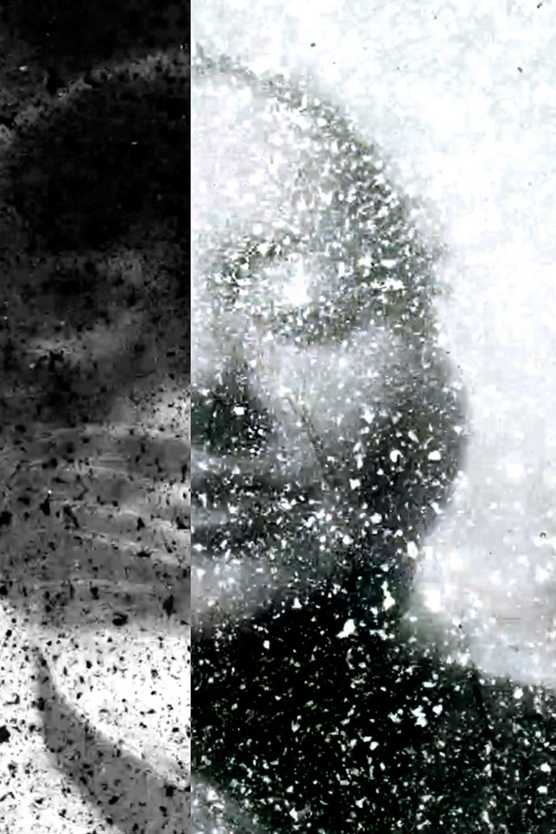 A Venture into Vegan Filmmaking poster background