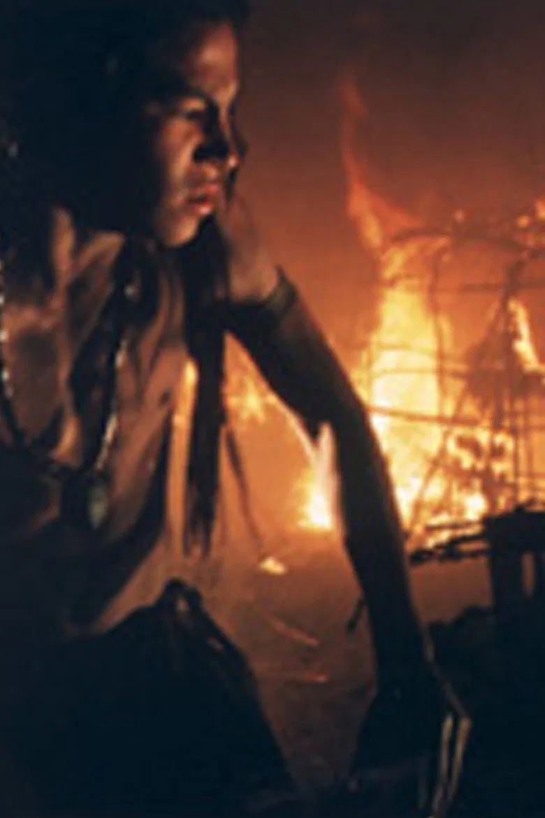 The Witness poster background