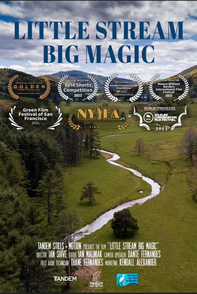Little Stream, Big Magic poster background