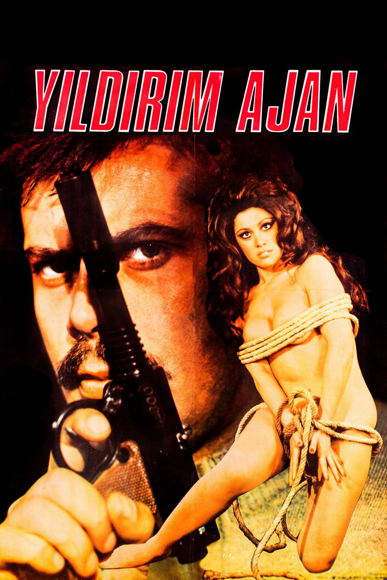 Yıldırım Ajan poster background