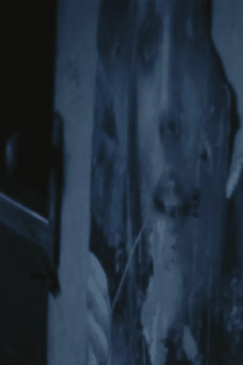 Bachelor Apartment poster background