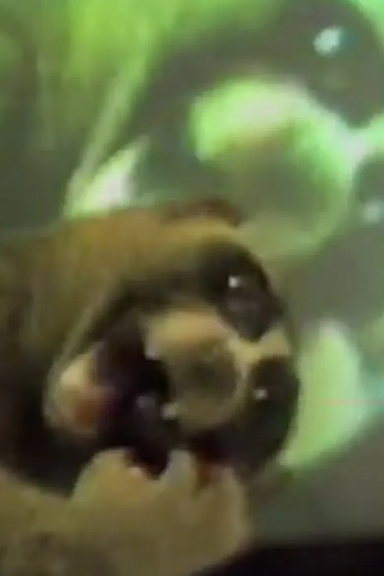 E.T. Watches the T.V. poster background