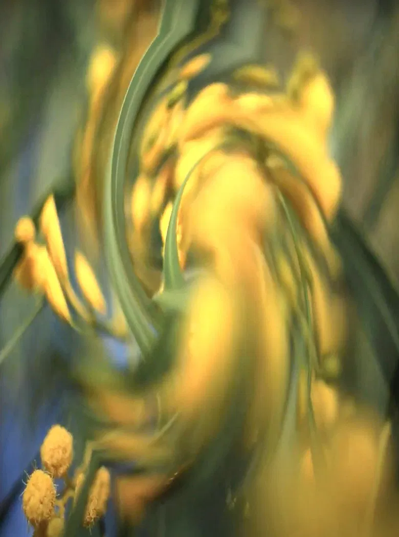 Deathless poster background