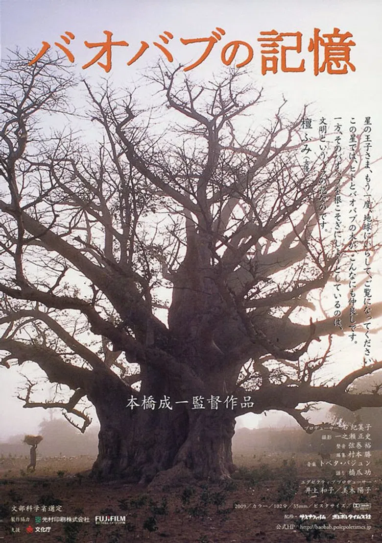 A Thousand Year Song of Baobab poster background