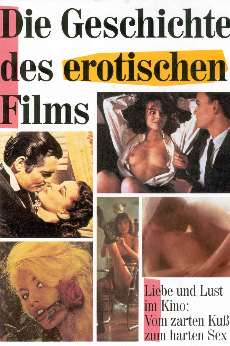 The Story of Erotic Film poster background
