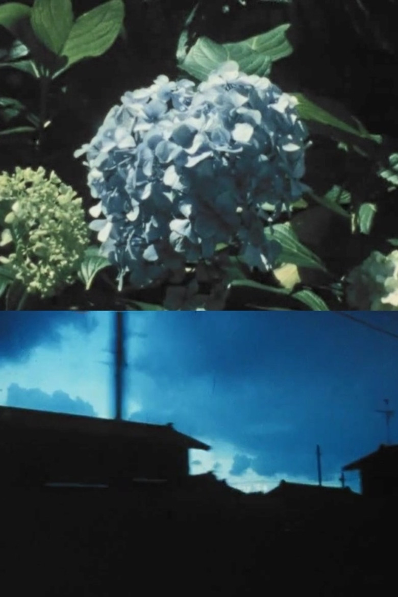 Imitating the Flower of Hydrangea poster background