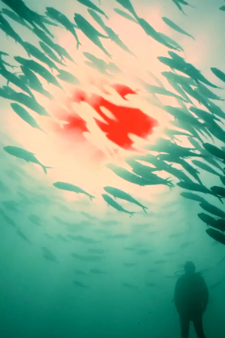 Red Sun poster background