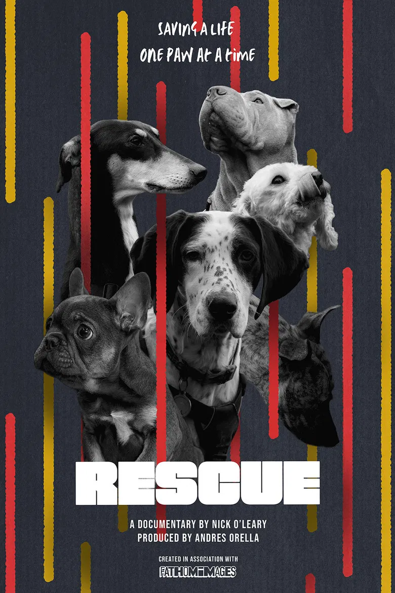 RESCUE poster background
