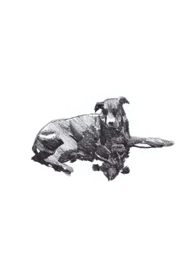 my first skate video poster background