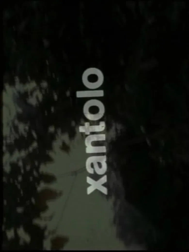 Xantolo, fiesta de la muerte poster background