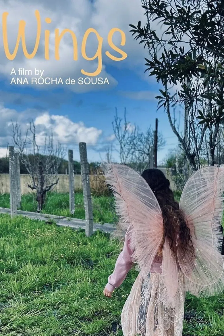 Wings poster background