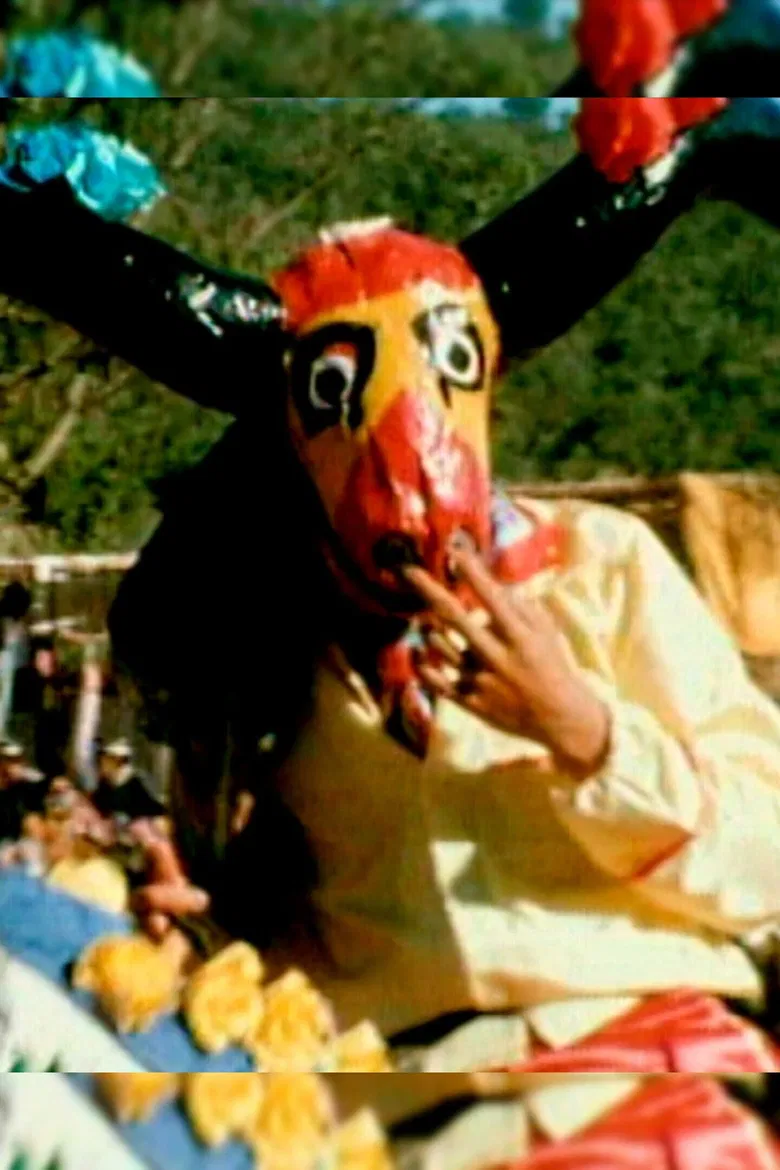 Folias do Divino poster background