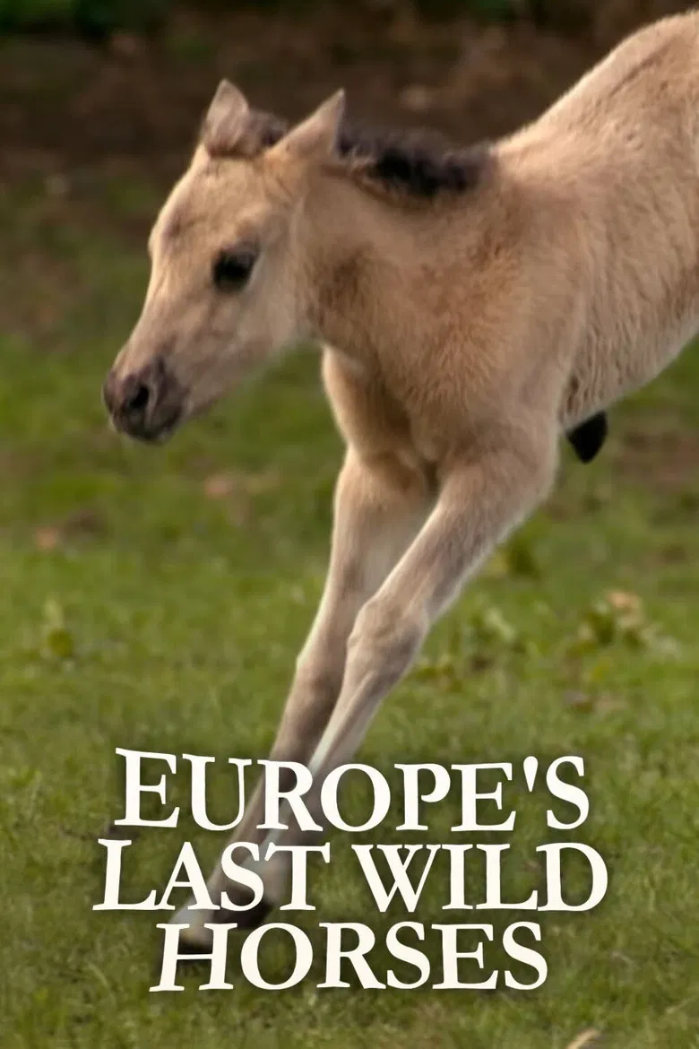 Europe's Last Wild Horses poster background