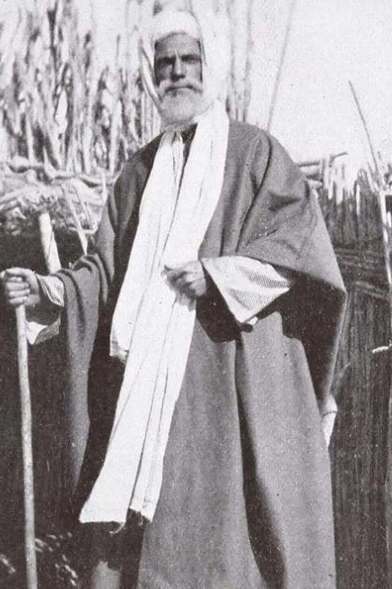 Dust of the Desert poster background