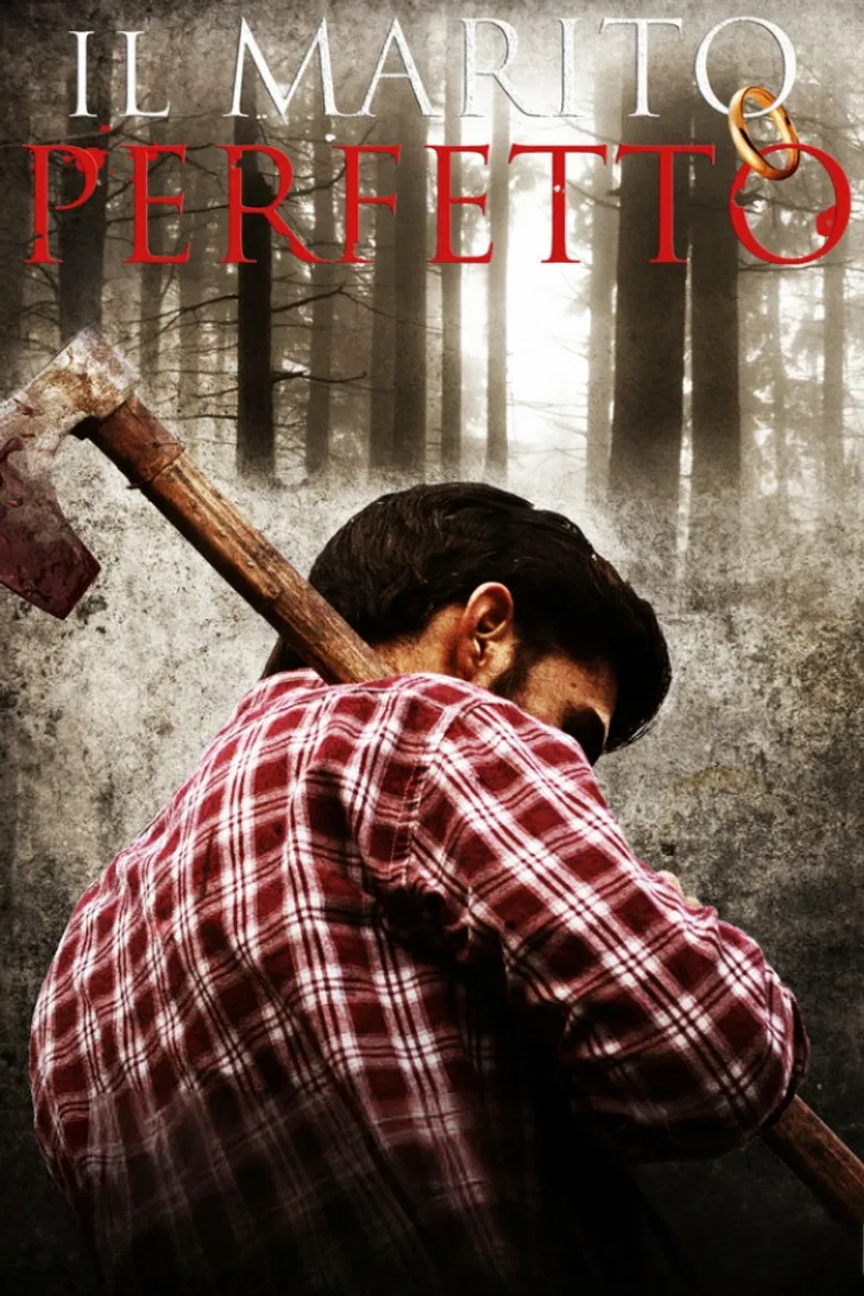 The Perfect Marriage poster background