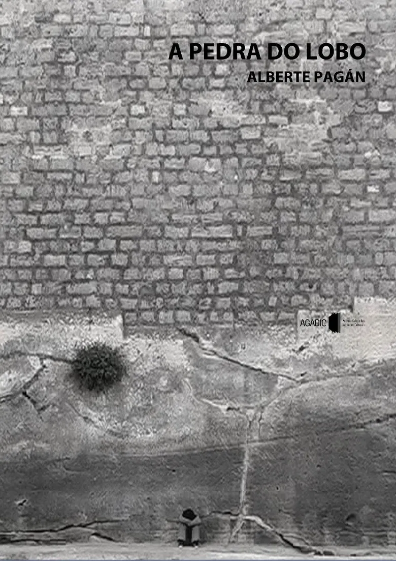 A pedra do lobo poster background