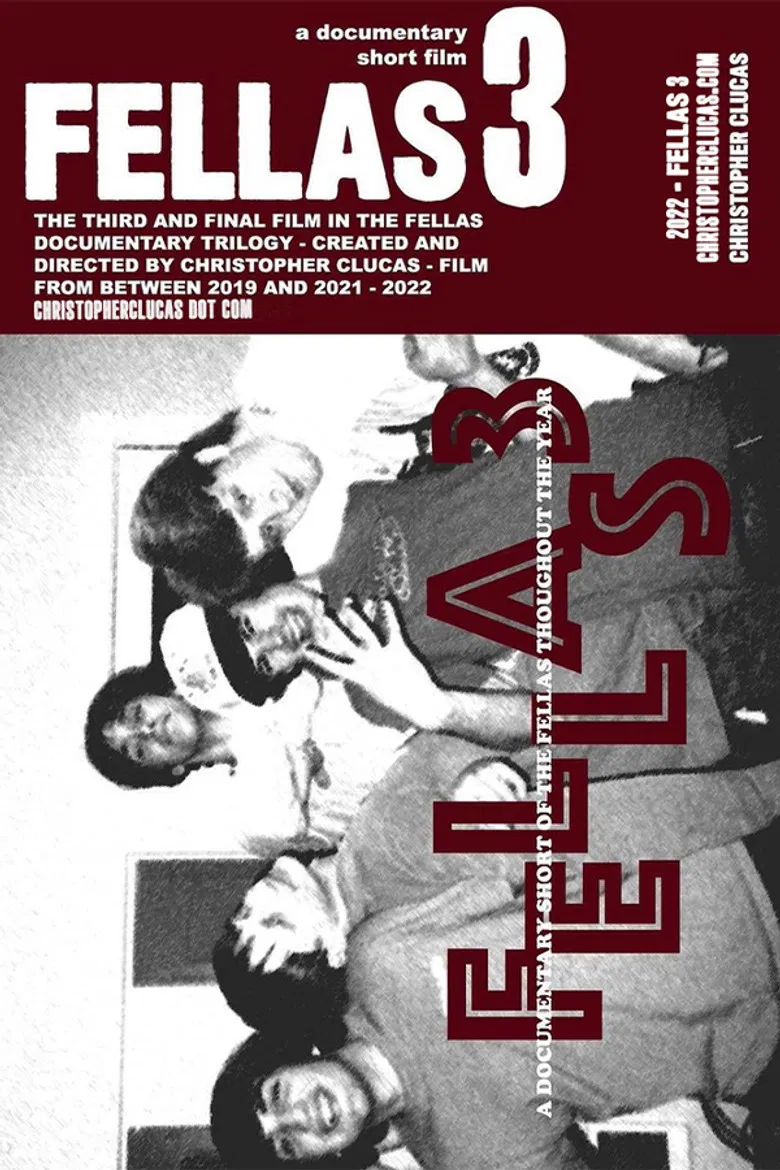 Fellas 3 poster background