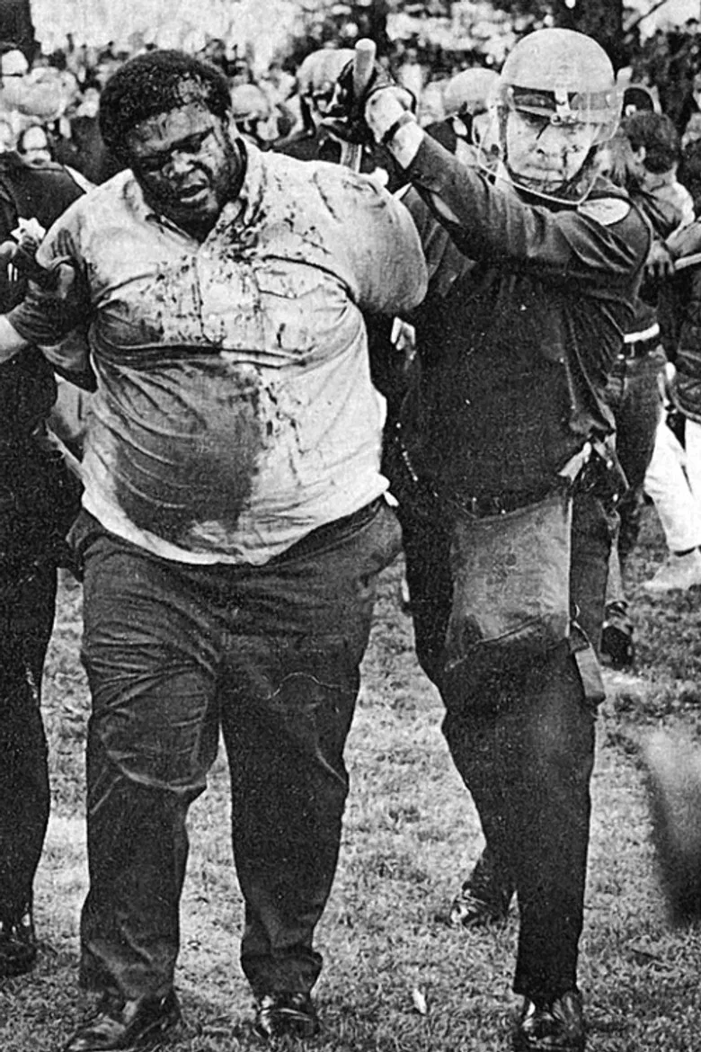 San Francisco State: On Strike poster background