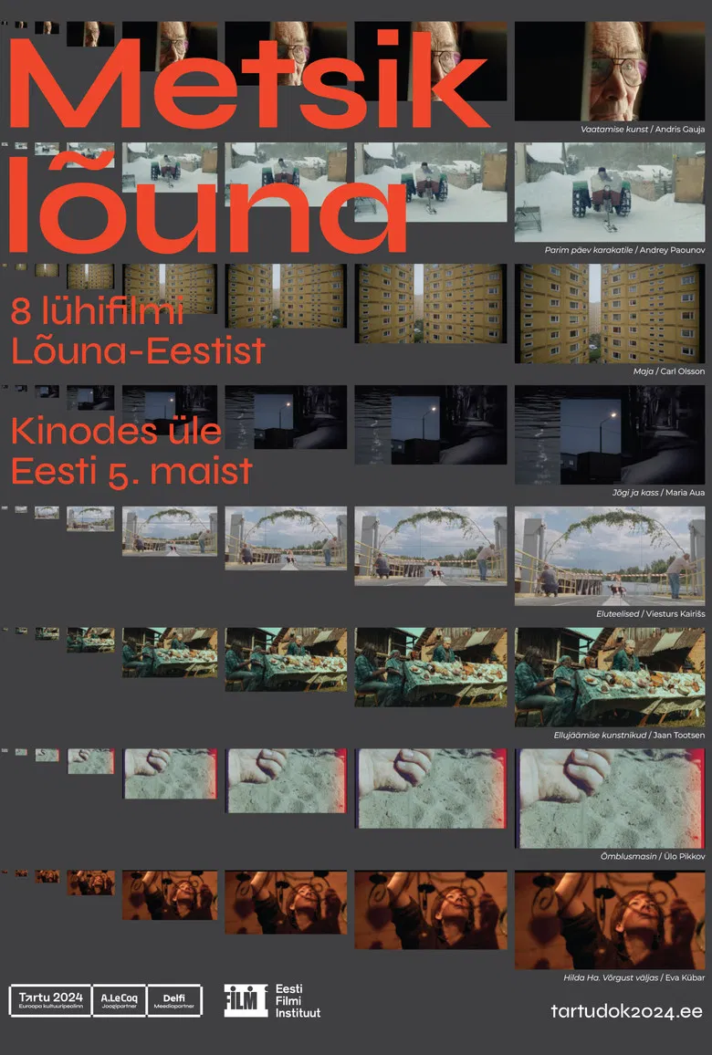 Wild South poster background