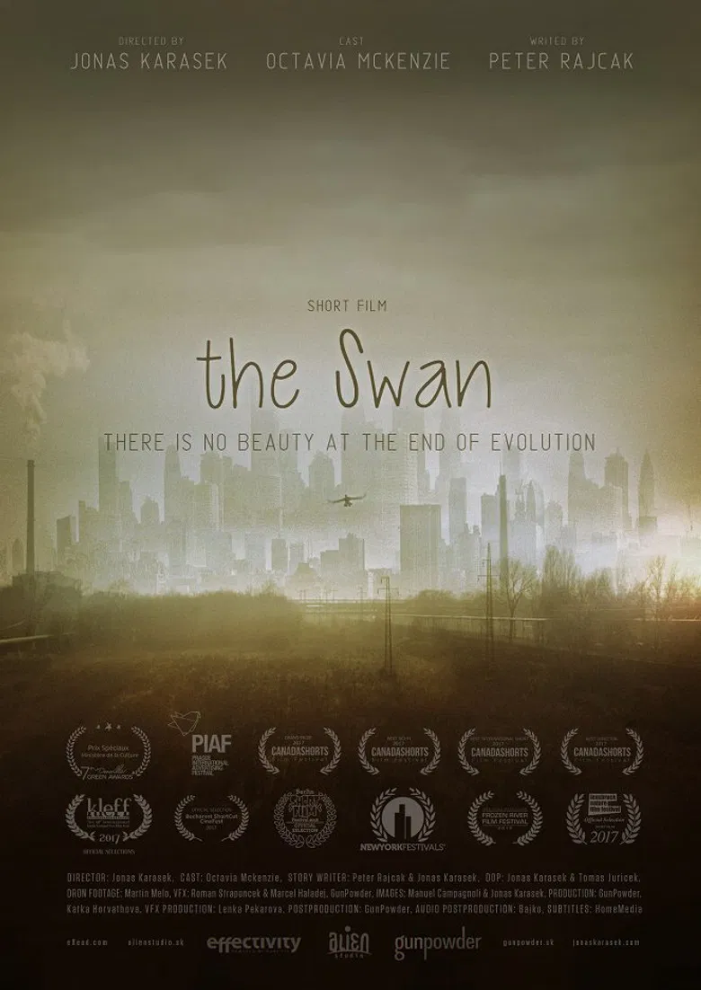 The Swan poster background