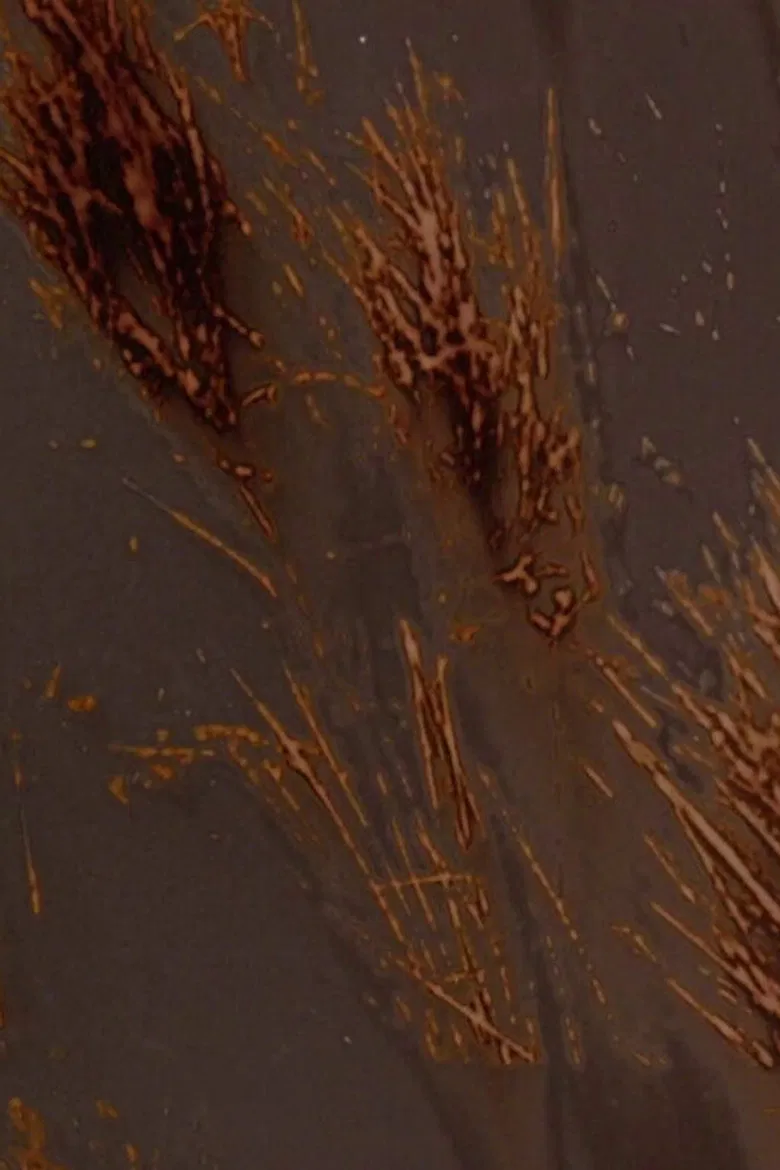 Terre rouge terre noire poster background