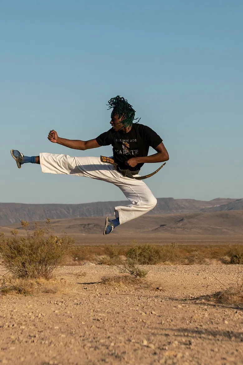 Golden Age Karate poster background