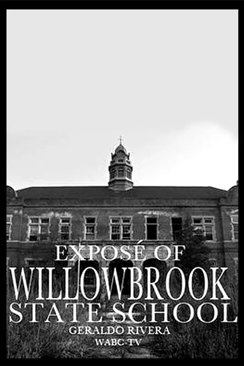 Willowbrook: The Last Great Disgrace poster background