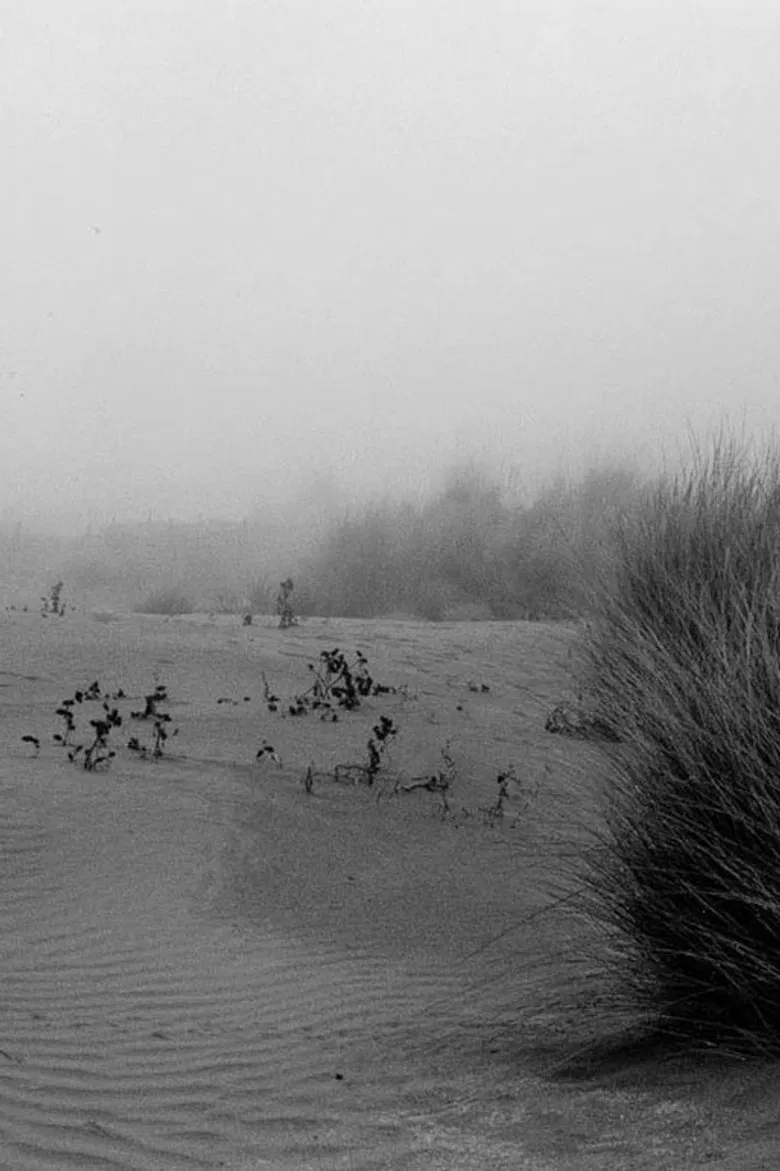 Sea Concrete Human — Malfunctions #1 poster background