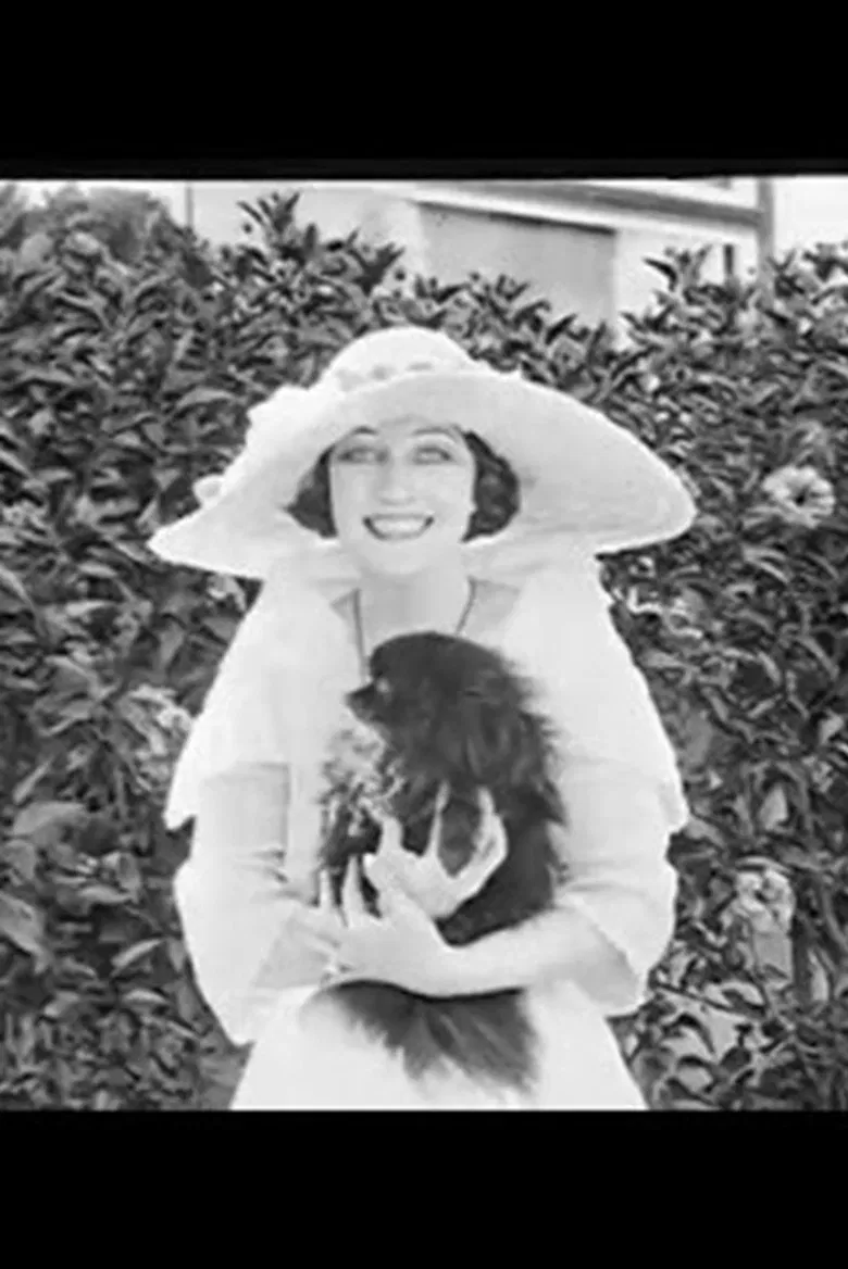 Our Film Stars poster background