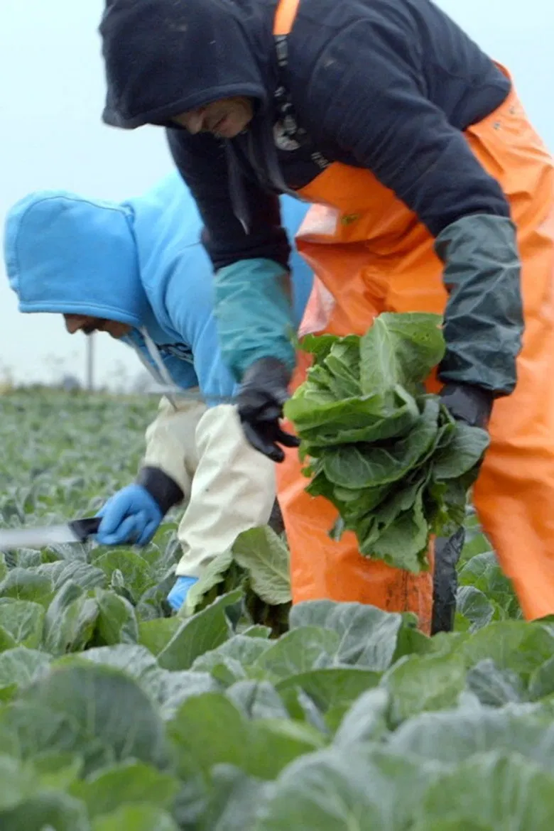 Outsiders poster background