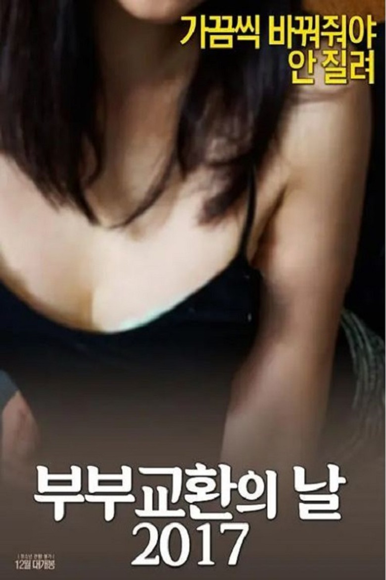 부부 교환의 날 2017 poster background