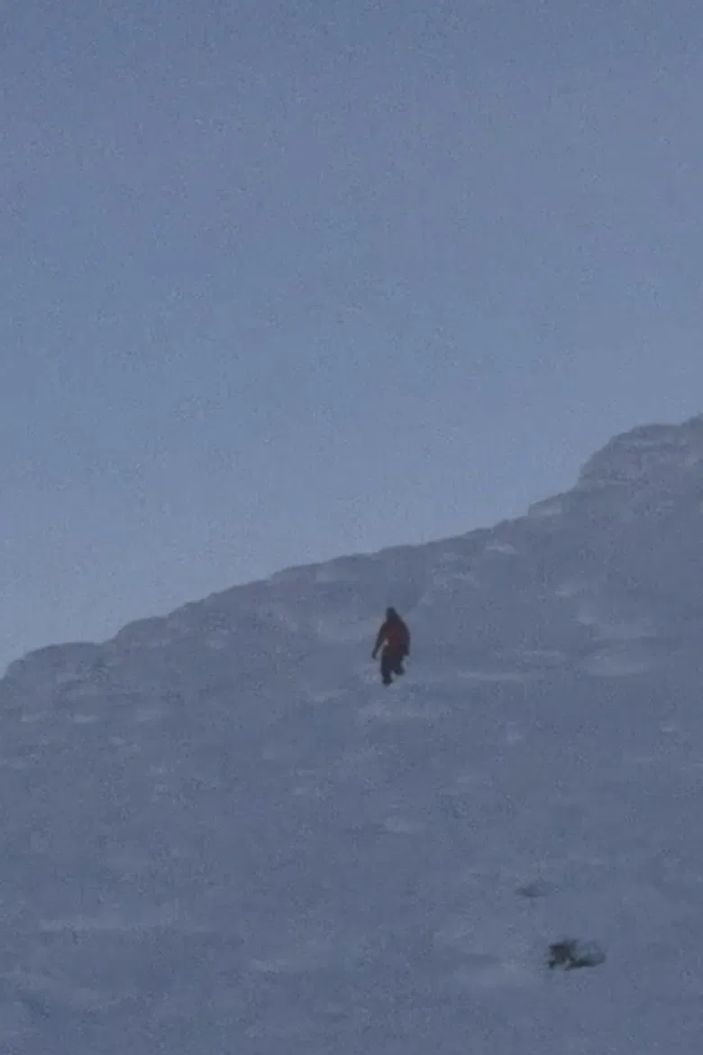 The Observers poster background