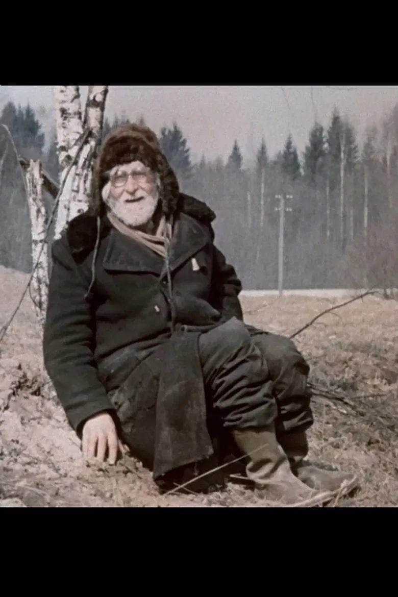 Cogito, ergo sum poster background